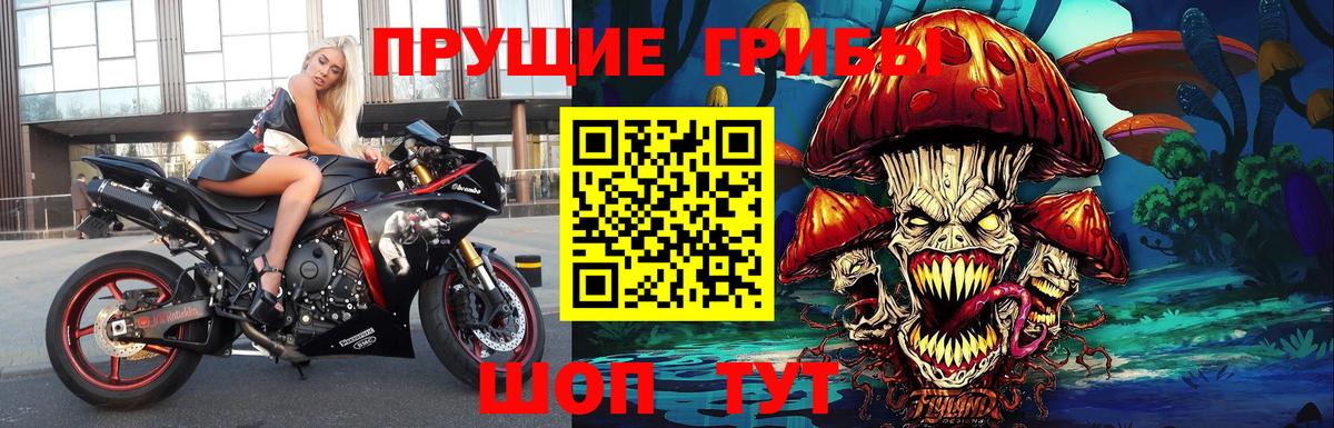 Псилоцибиновые грибы прущие грибы Архангельск
