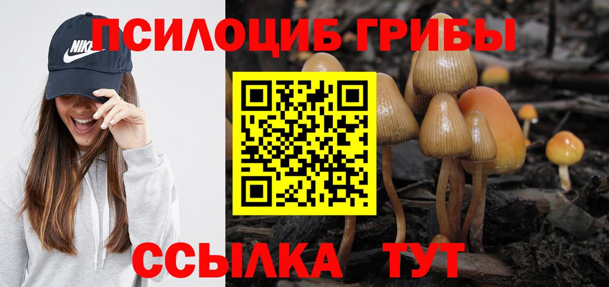 Псилоцибиновые грибы мухоморы  Вход с VPN  Архангельск 